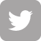 Twitter Logo